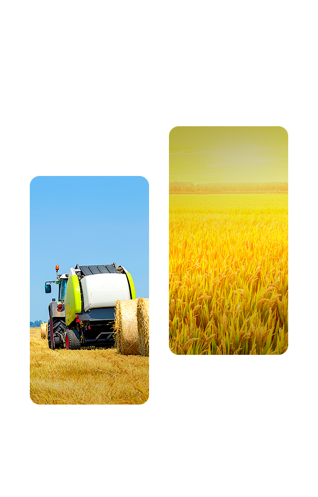 株式会社I LOVE Milk牧場